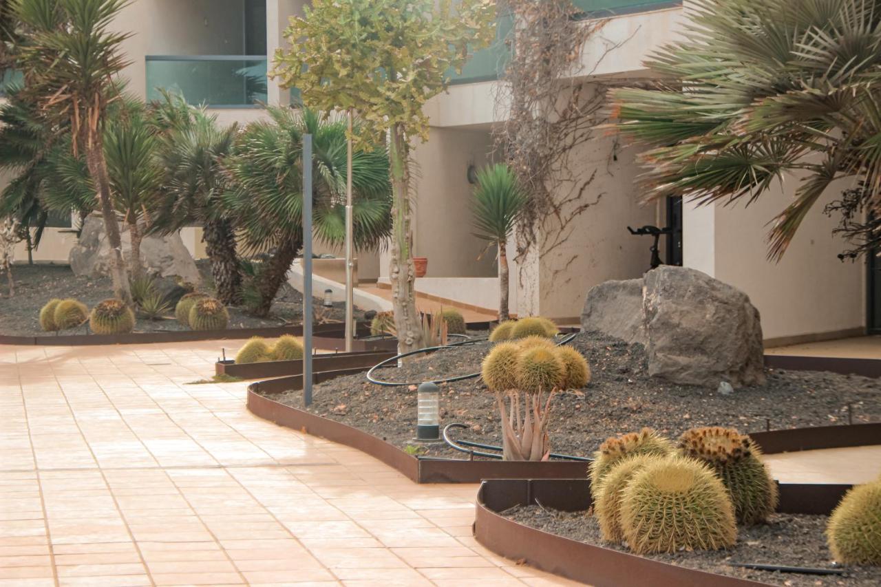 Casa Aloe Vera Cotillo Kültér fotó